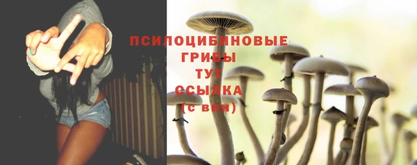 jwh Алзамай