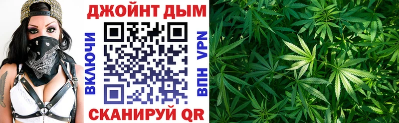Конопля сатива Советский